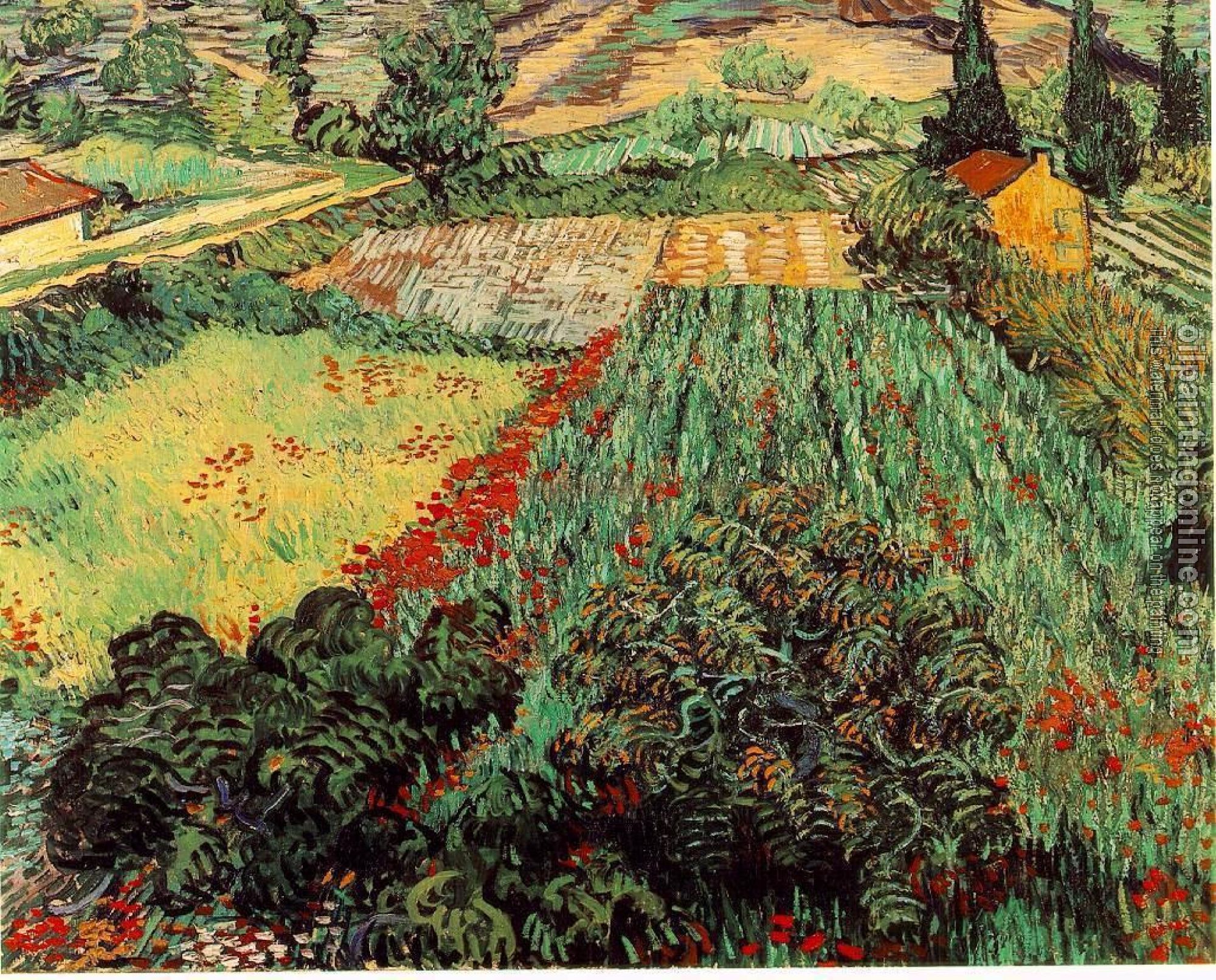 Gogh, Vincent van - Field with Poppies